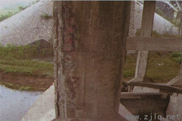拱上立柱混凝土剝落鋼筋銹蝕2（http://m.zg99xy.com/）