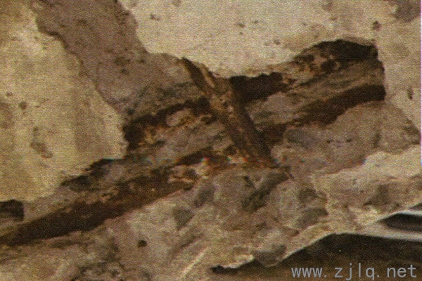 下玄桿開裂露筋（http://m.zg99xy.com/）