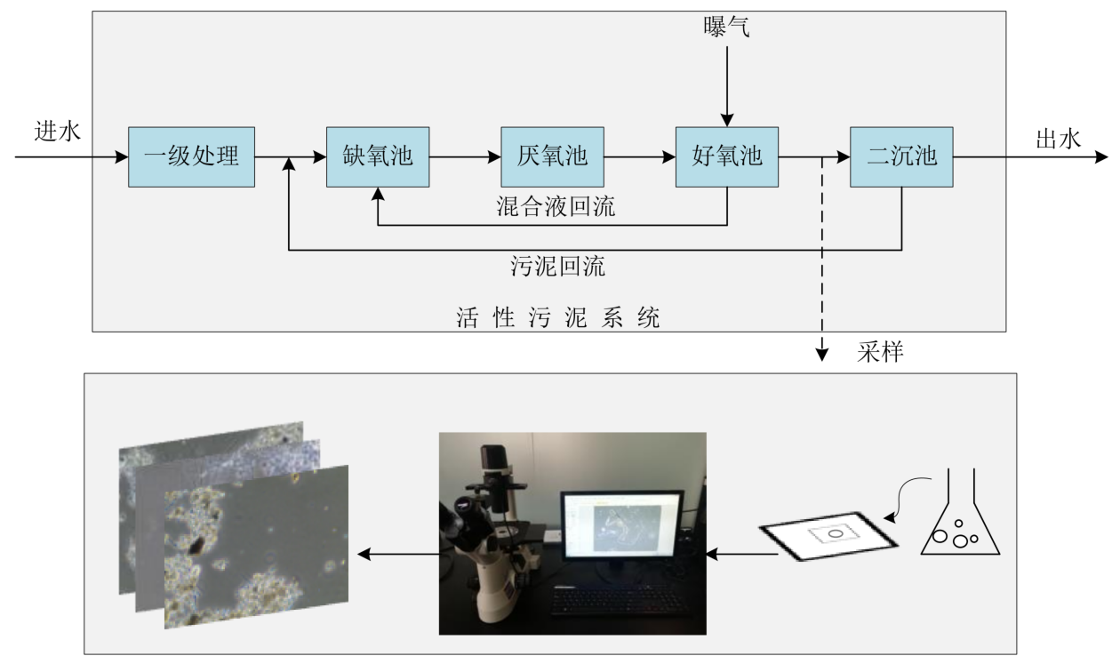 污水處理廠：基于深度學習的活性污泥識別設備，提高污水處理工作效率