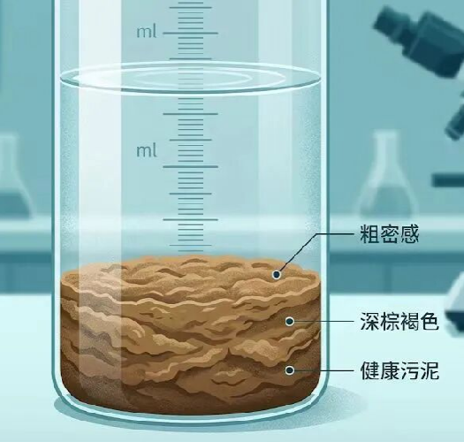 SV30污泥沉降比：壓縮沉降中的老化信號(hào)，秘密不在30分鐘后，而在30分鐘內(nèi)